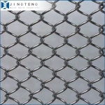 Stainless Steel Chain Mail Curtain /Metal Ring Mesh
