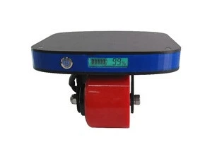 Super mini  350W remote controller balance electric skate board
