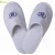 Import Supply For Disposable Hotel Slippers Luxury Hotel Supplies from China