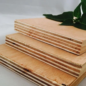 supply malaysian hardwood plywood from China linyi plywood factory for sale
