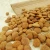 Import sweet apricot kernels / almond / apricot pit 600/650/700/750pcs/500g from China