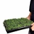 Import Swellder Microgreen Trays - Shallow Germination Tray No Holes - Short Seed Flats for Sprouting 1020 tray from China