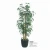 Import the best real touch artificial lucky bamboo bonsai for decorations from China