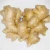 Import The fresh ginger with the competitive price from China