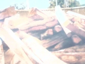 Timber Raw Materials and Logs