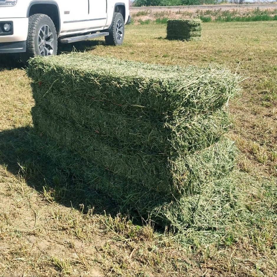 Buy Top Quality American Alfalfa Hay Bales For Animal Feed from Tian ...