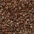 Import Top Quality Buckwheat from Canada