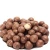 Import Top Quality Roasted Macadamia Nuts from China