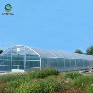Tunnel plastic china greenhouse film agriculture green house equipment