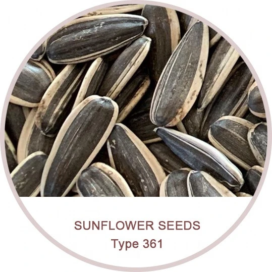 Type 361 Sunflower Seeds Kernel Factory Price Wholesale Natural Raw Black Large Size