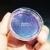 Import ultra shift chameleon pearl pigments with factory price from China