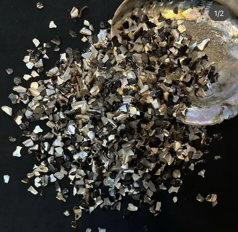 Buy Uncut Abalone And Mother Of Pearl Shells For Dishes & Plates from ...