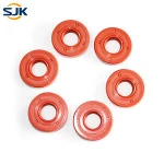 Vacuum master / accessories, valve used silicone tc oil seal