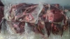 venison meat  , Frozen Kebab meat