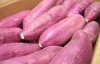 Vietnamese Fresh Yellow Sweet Potato/ Purple Sweet Potato - Ms. Phoebe