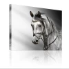 Wall Hanging Picture Excellent Famous Horse Paintings