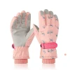 Water Proof Ski Gloves Warm Anti Slip Gloves with High Quality for Women and Men