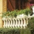 Import western style carved white balustrade handrail for house garden building decoration from China