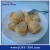 Import white frozen abalone meat from China