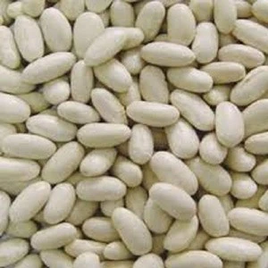White Kidney Beans white kidney beans / butter bean / white bean