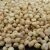 Import White Sorghum from Canada