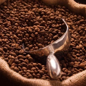 Whole sale Roasted  Coffee beans 2019 bulk South Africa