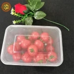 Wholesale 100% Food Grade 1000ml PP Plastic Disposable Bento Lunch Box