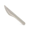 Wholesale Biodegradable Bamboo Cutlery Disposable Knife Fork Spoon Bagasse Sugarcane Pulp Compostable Food Packaging Camping BPI