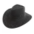 Import wholesale child and adult cheap cowboy hat suede promotional cowboy hat from China