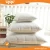 Import Wholesale Custom Feather Filled Cushions For Sofas from China