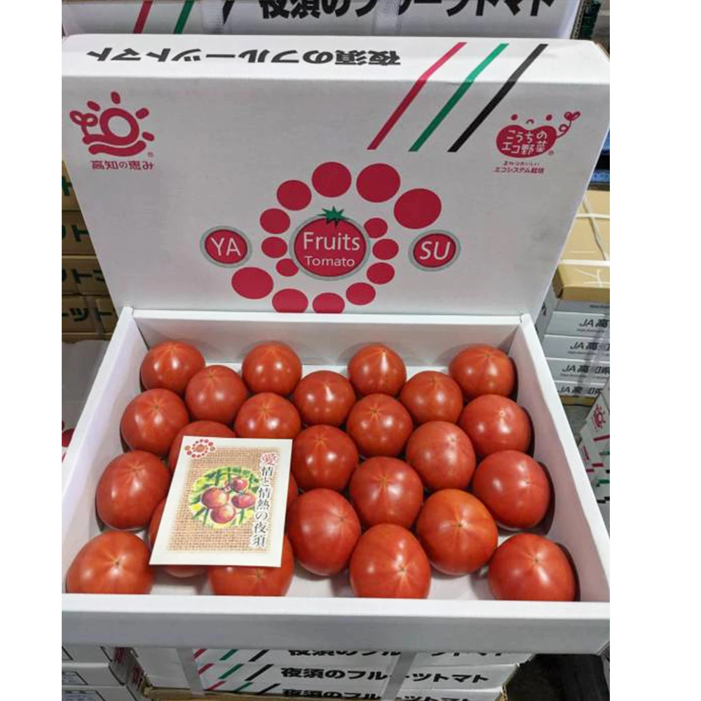 Wholesale farm fresh raw material tomato paste manufacturers for sale
