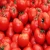 Import Wholesale Fresh Beef Tomatoes, Cherry Tomatoes, Fresh Plum TomatoesNew Harvest from France