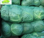 Wholesale Fresh Cabbage / Fresh Cabbage Price / Cabbage Exporter