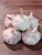 Import Wholesale High Quality Vegetables Product Type Export Buy Garlic Normal White from China