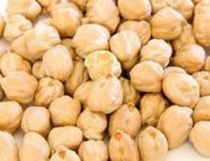 Wholesale Kabuli Chickpeas at Reliable Market Price