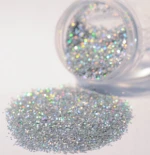 Wholesale Multi-color Face Body Paillette Glitter For Make Up
