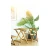 Import Wholesale Multifunction Dining Table High Quality Bamboo Wooden Dining Table And Chair Set from China