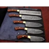 Wooden & Brass Handle / Damascus Steel Blade 5 Pieces Kitchen Knife Set With Leather Role Kit Chef Knives (HRS-563)