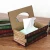 Import Wooden crafts vintage painted book-shaped tissue box from China