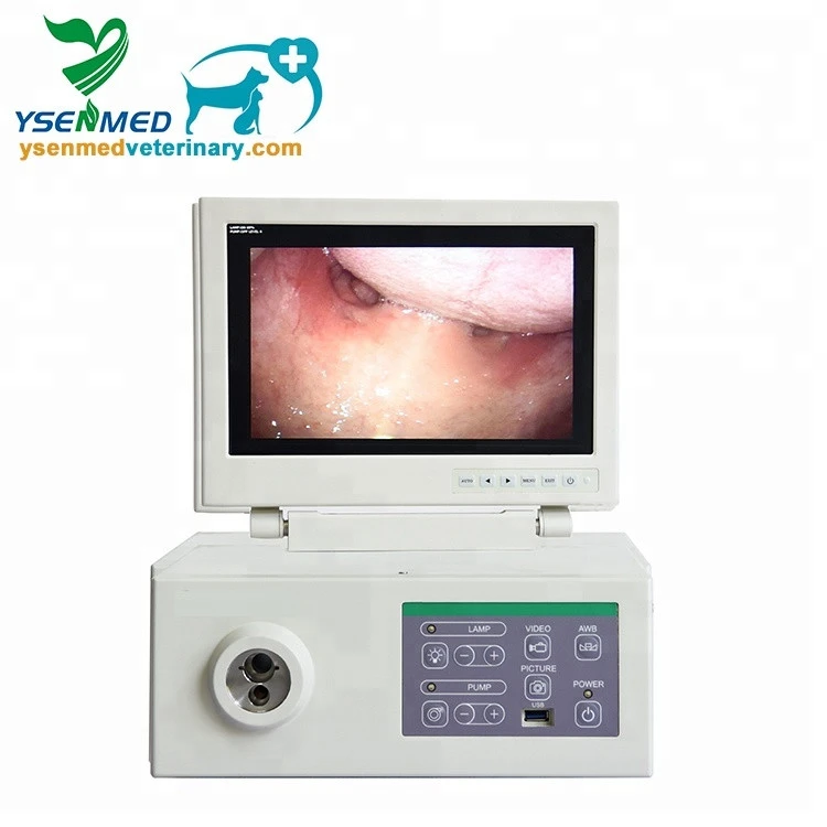 YSNJ-100VET-P Medical use veterinary equipment portable endoscope led light source vet endoscope