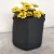 Import Black Fabric Pots 5 Gallon from China