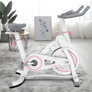 GS-702 Fitness Equipment for Home and commercial gym uses Exercise Bike professional spinning bike