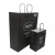 White kraft paper bag with black twisted paper handle