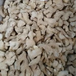 Wholesale High Quality Dried Ginger Root In Good Price Dry Ginger Whole