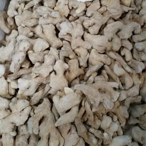 Wholesale High Quality Dried Ginger Root In Good Price Dry Ginger Whole