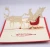 Import Pop Up Card, 3D Card from China