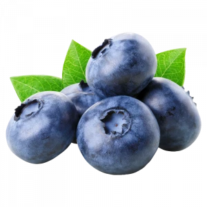 Blueberry Bilberry Huckleberry Fresh Fruits From Peru