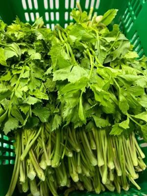 Thai Celery (Tong-O)