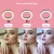 Import Video Shooting Makeup Phone Holder 10 inch Tiktok Photographic Led Selfie Ring Light With Tripod Stand For Live Stream from China
