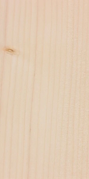 Factory Price Silver Fir Timber Bulk Sale Durable Wood
